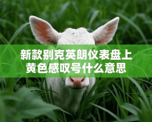 新款别克英朗仪表盘上**感叹号什么意思