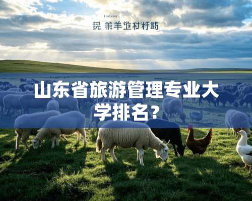 山东省旅游管理专业大学排名？