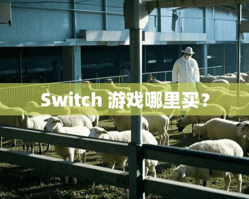 Switch 游戏哪里买？