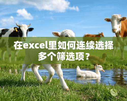 在excel里如何连续选择多个筛选项？