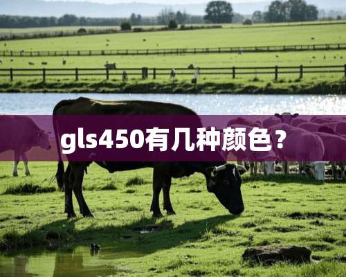 gls450有几种颜色？