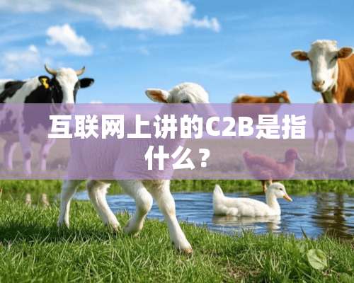 互联网上讲的C2B是指什么？