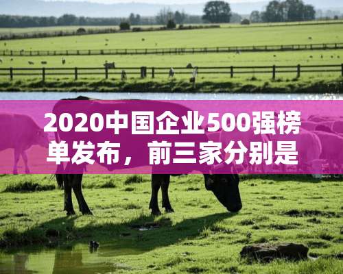 2020中国企业500强榜单发布，前三家分别是？