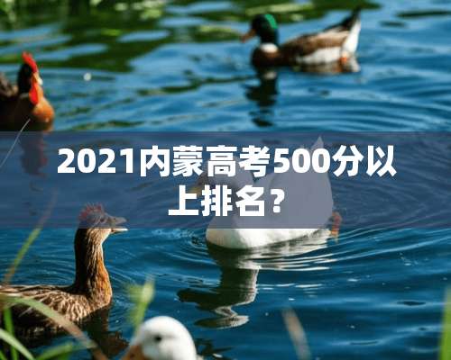 2021内蒙高考500分以上排名？