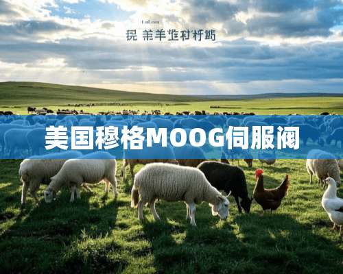 美国穆格MOOG伺服阀