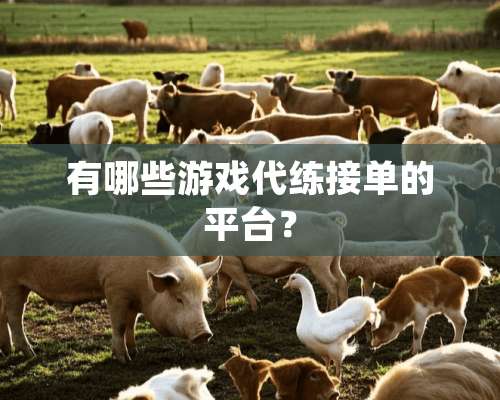 有哪些游戏代练接单的平台？