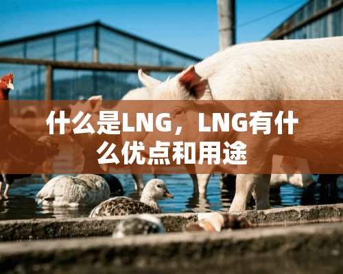 什么是LNG，LNG有什么优点和用途