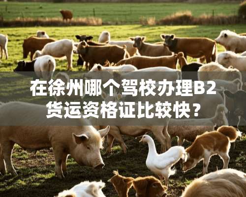 在徐州哪个驾校办理B2货运资格证比较快？