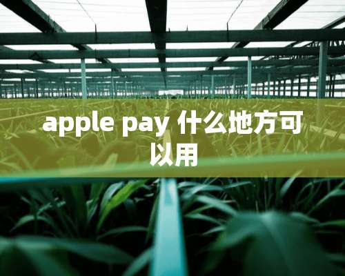 apple pay 什么地方可以用