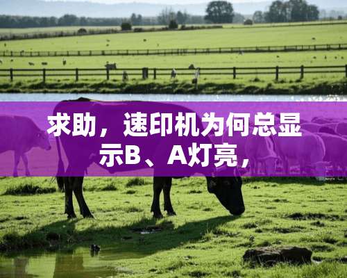 求助，速印机为何总显示B、A灯亮，