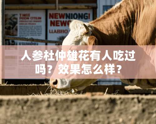 人参杜仲雄花有人吃过吗？效果怎么样？