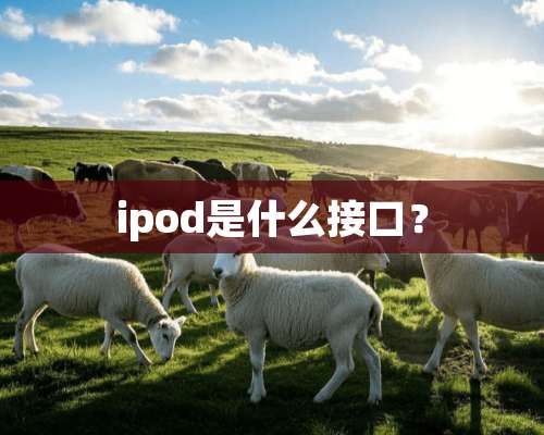 ipod是什么接口？