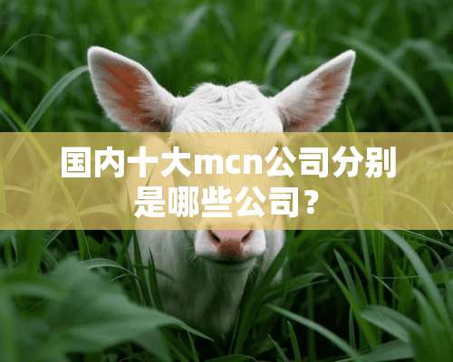 国内十大mcn公司分别是哪些公司？