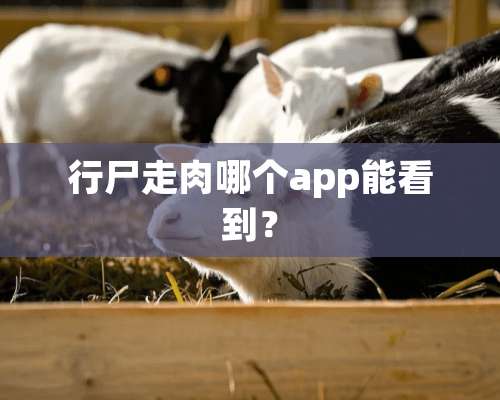 行尸走肉哪个app能看到？