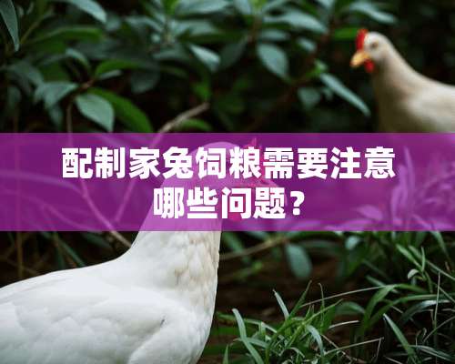 配制家兔饲粮需要注意哪些问题？