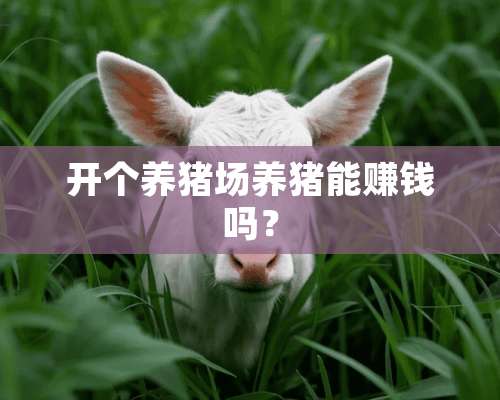 开个养猪场养猪能赚钱吗？