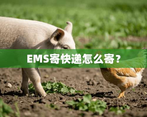 EMS寄快递怎么寄？