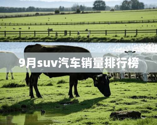 9月suv汽车销量排行榜