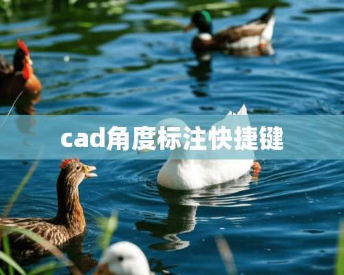 cad角度标注快捷键