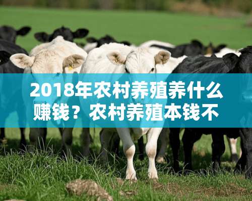 2018年农村养殖养什么赚钱？农村养殖本钱不够怎么办？