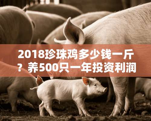 2018珍珠鸡多少钱一斤？养500只一年投资利润