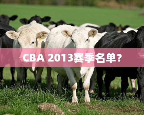 CBA 2013赛季名单？