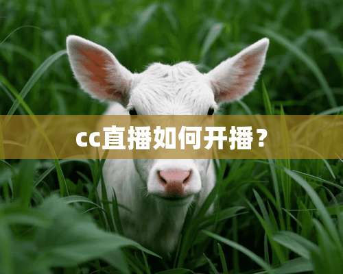 cc直播如何开播？