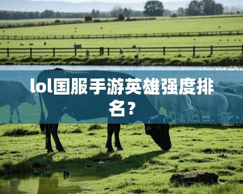 lol国服手游英雄强度排名？