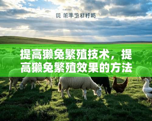 提高獭兔繁殖技术，提高獭兔繁殖效果的方法