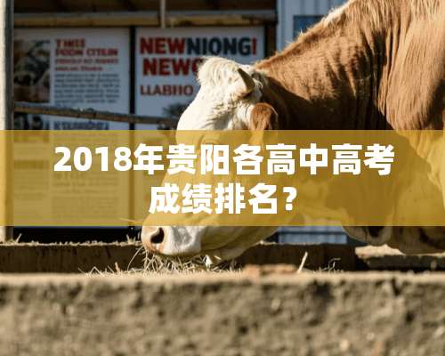 2018年贵阳各高中高考成绩排名？