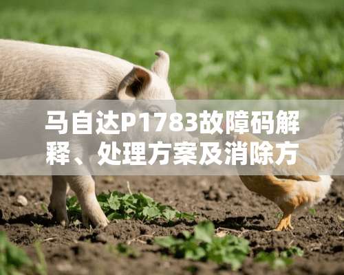 ***P1783故障码解释、处理方案及消除方法