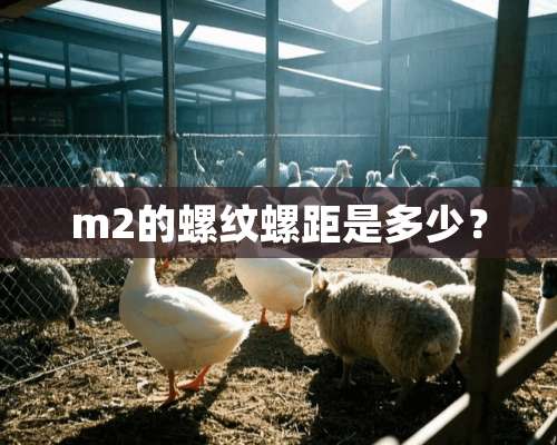 m2的螺纹螺距是多少？