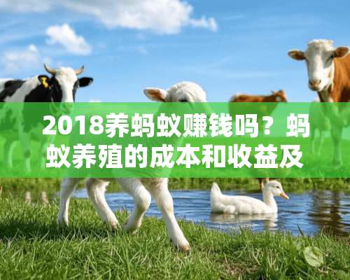 2018养蚂蚁赚钱吗？蚂蚁养殖的成本和收益及前景