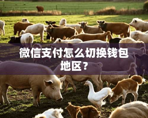 微信支付怎么切换钱包地区？