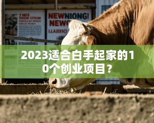 2023适合白手起家的10个创业项目？