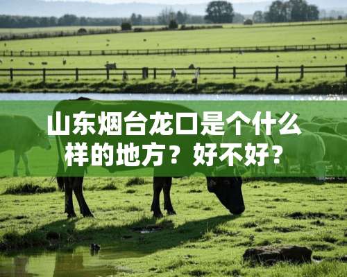 山东烟台龙口是个什么样的地方？好不好？