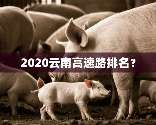 2020云南高速路排名？