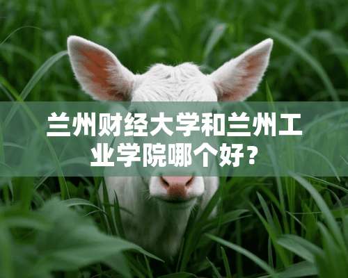 兰州财经大学和兰州工业学院哪个好？