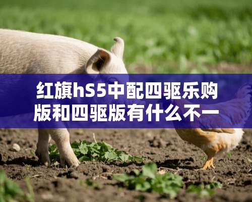 红旗hS5中配四驱乐购版和四驱版有什么不一样