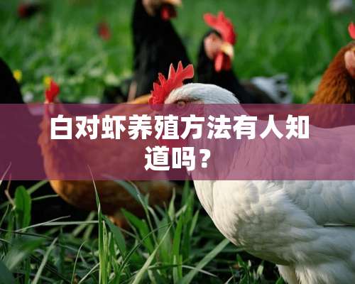 白对虾养殖方法有人知道吗？