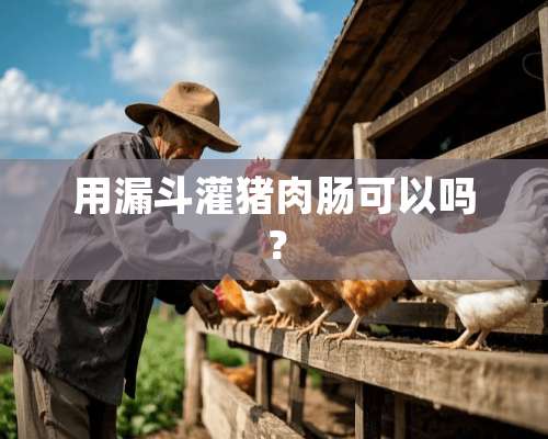 用漏斗灌猪肉肠可以吗？