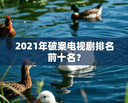 2021年破案电视剧排名前十名？