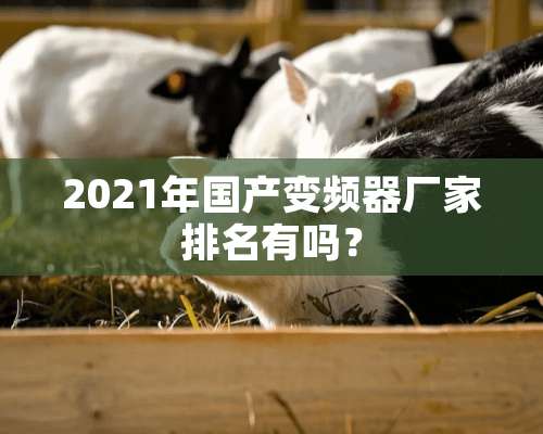 2021年国产变频器厂家排名有吗？