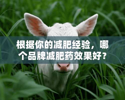 根据你的减肥经验，哪个品牌***效果好？