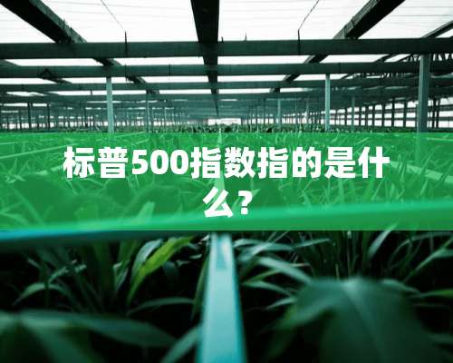 标普500指数指的是什么？