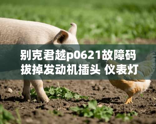 别克君越p0621故障码 拔掉发动机插头 仪表灯亮