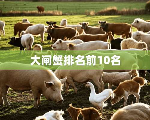 大闸蟹排名前10名