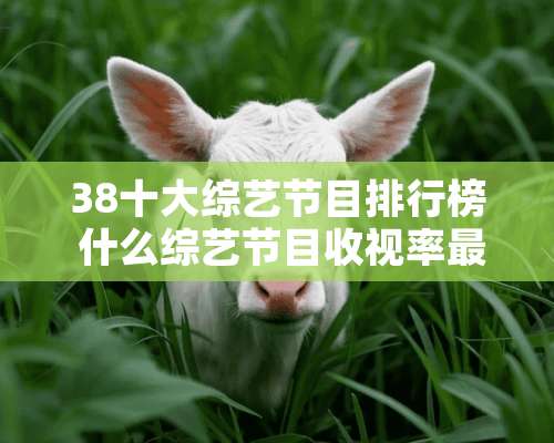 38十大综艺节目排行榜 什么综艺节目收视率最高