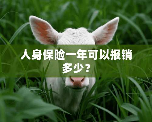 人身保险一年可以报销多少？