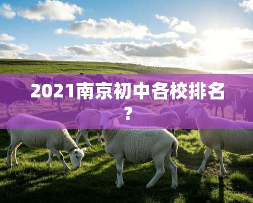 2021南京初中各校排名？